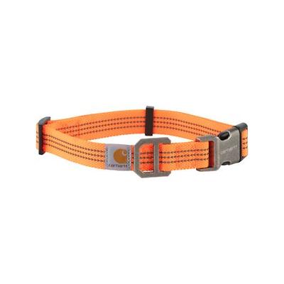 Dog Collar