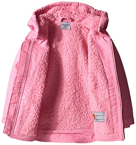 Canvas Insulated Hooded Jacket