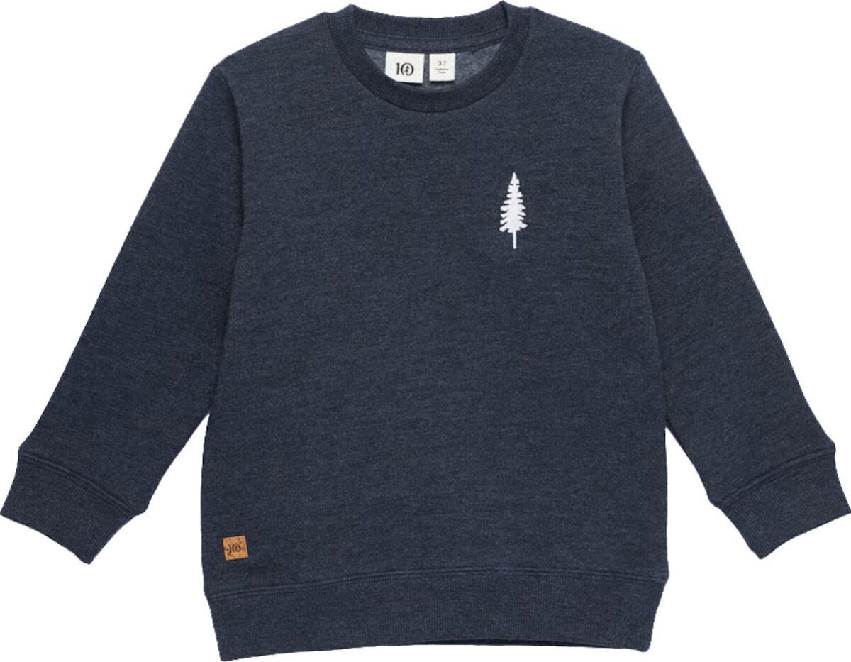 Golden Spruce Crew