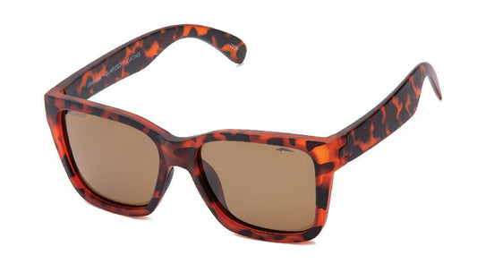 Coronado (Floating Polarized)