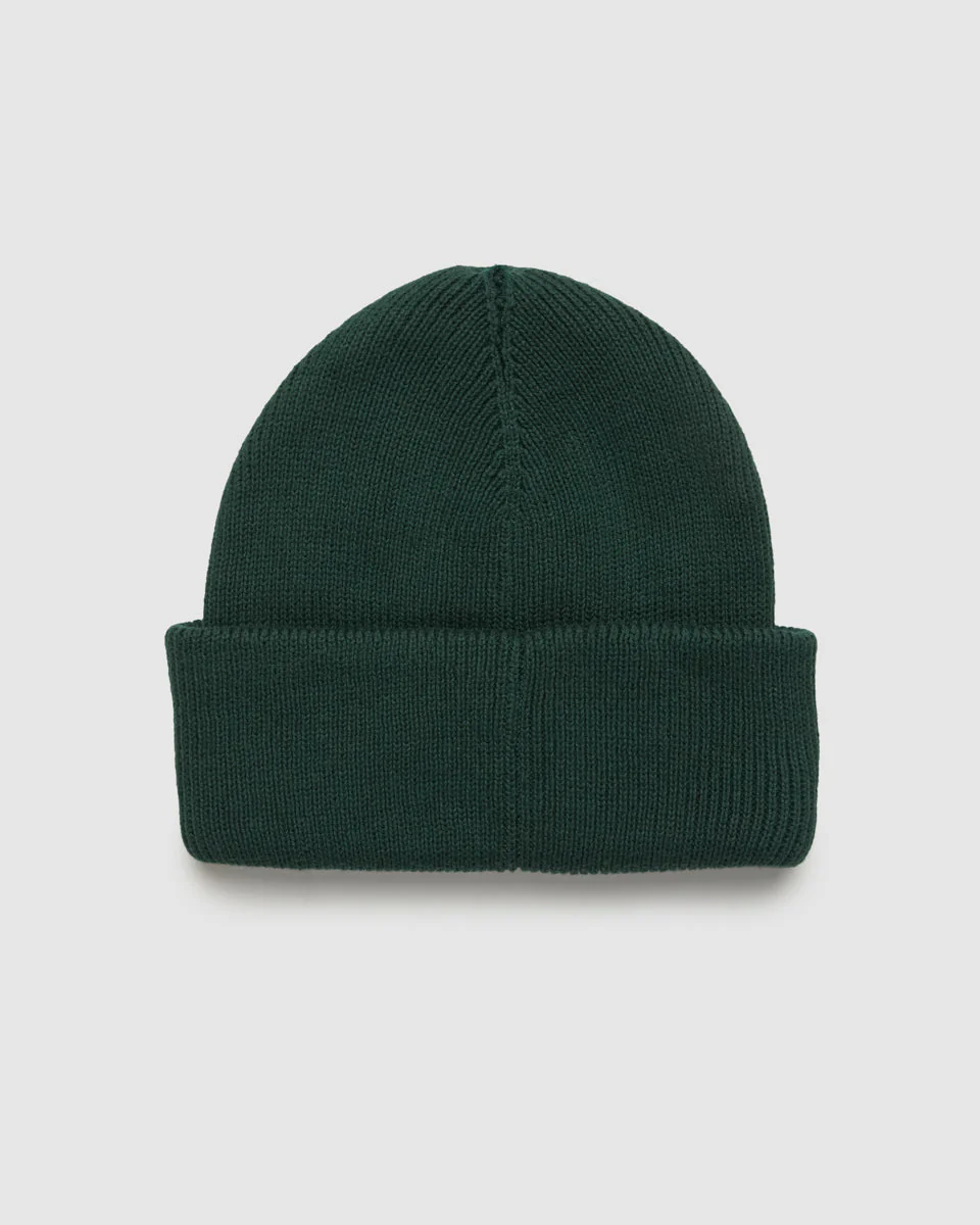 Alden Beanie