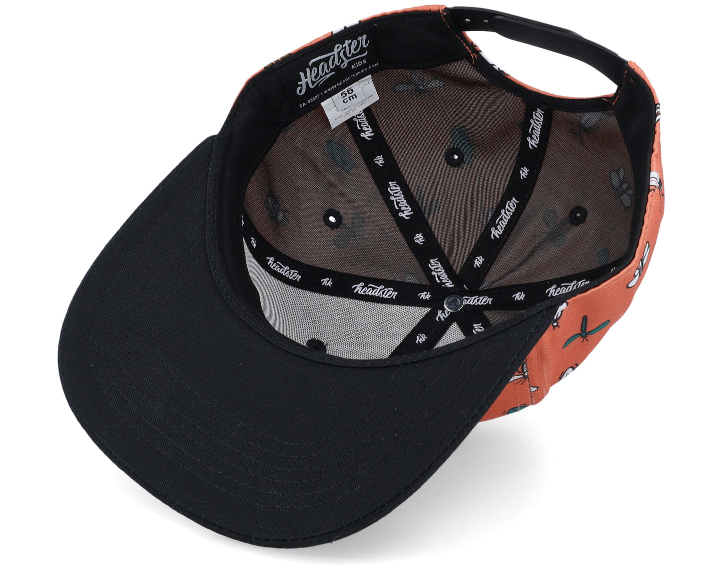 .Dragonfly Snapback