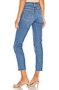 .Wedgie Icon Fit