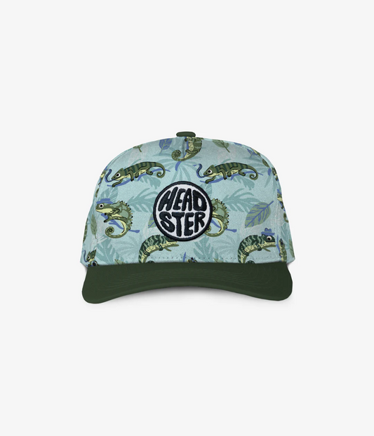 Mister Chameleon Curved Brim Snapback