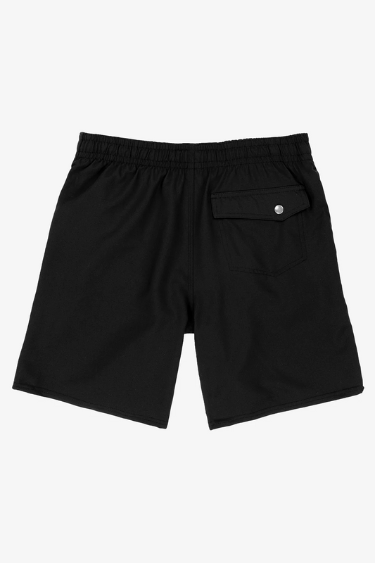 .Solid Volley 17" Shorts