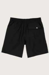 .Solid Volley 17" Shorts