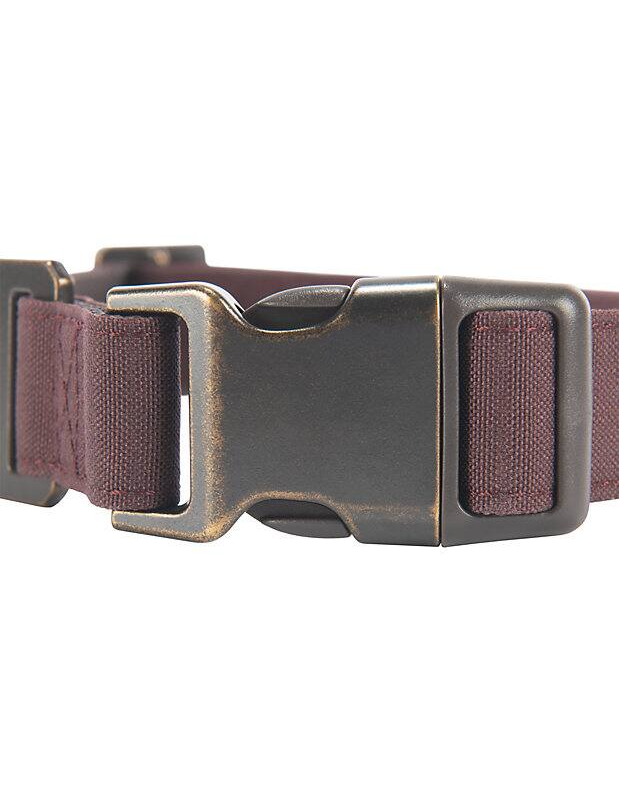 Nylon Duck Dog Collar