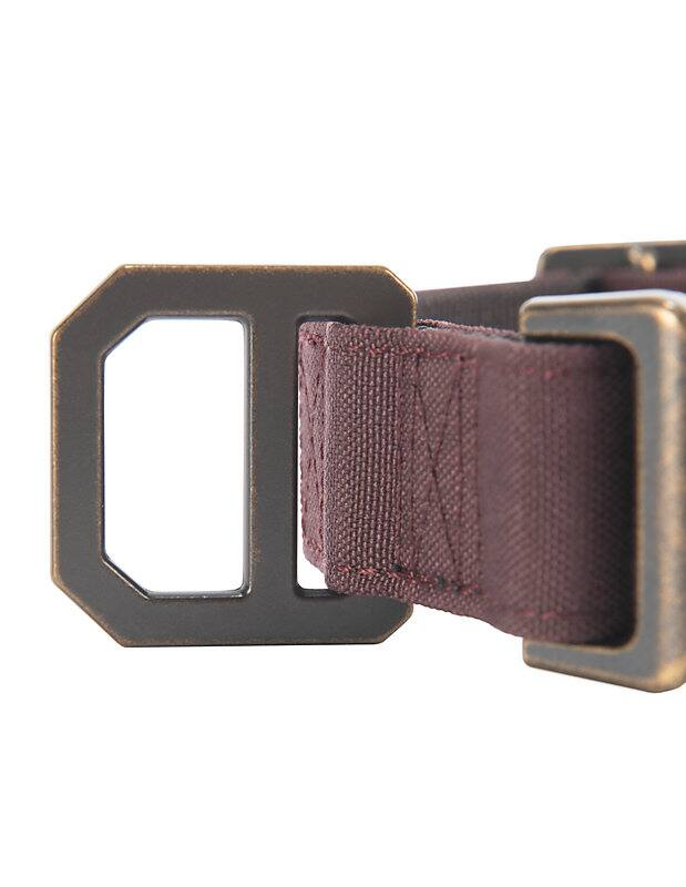 Nylon Duck Dog Collar