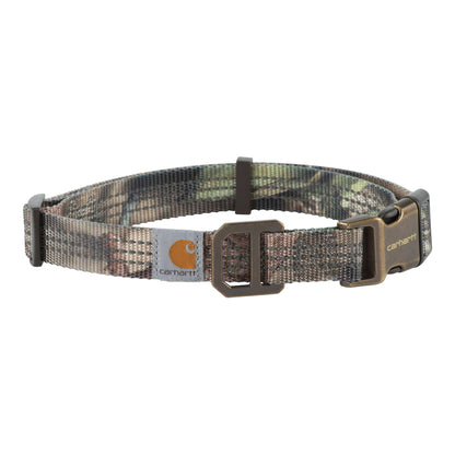 Dog Collar
