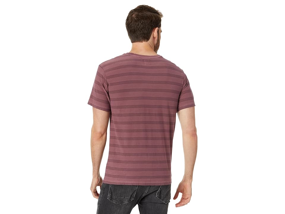 .PTC Stripe SS