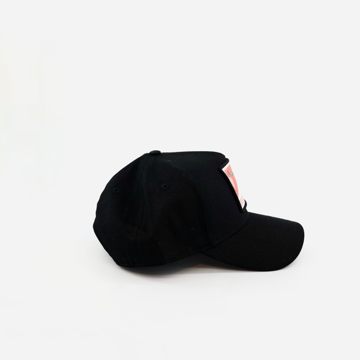 Skull Patch Hat
