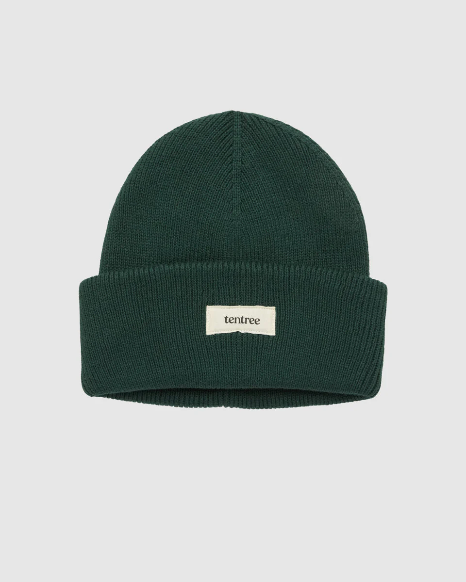 Alden Beanie