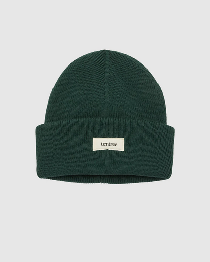 Alden Beanie
