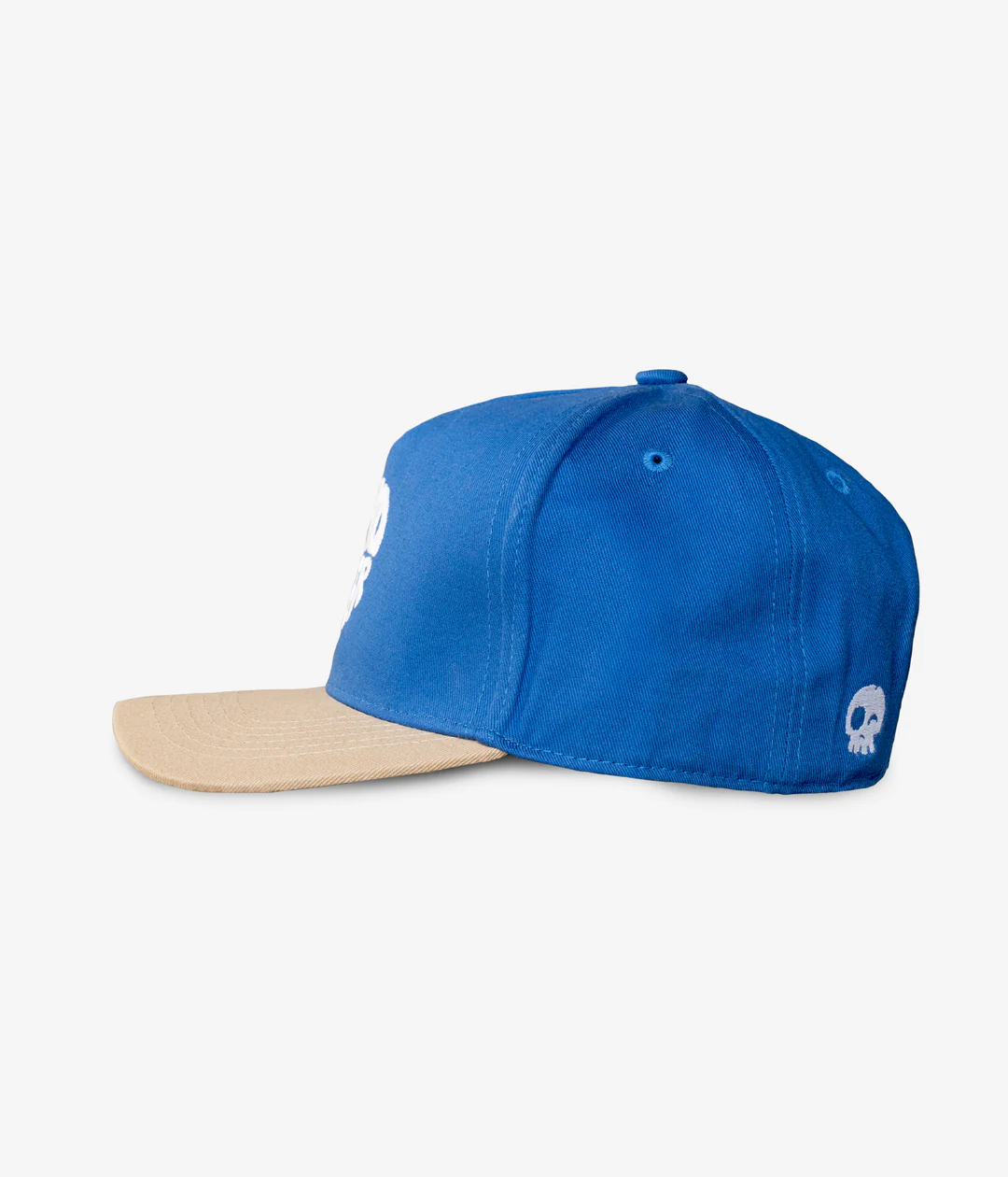Home Run Curved Brim Snapback