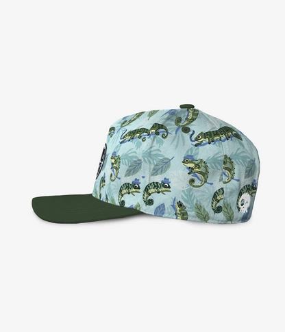 Mister Chameleon Curved Brim Snapback
