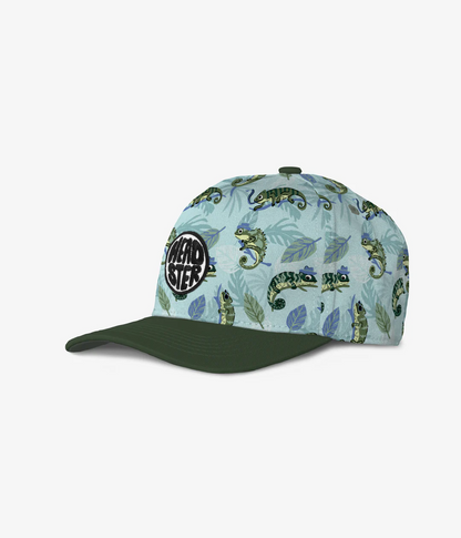 Mister Chameleon Curved Brim Snapback