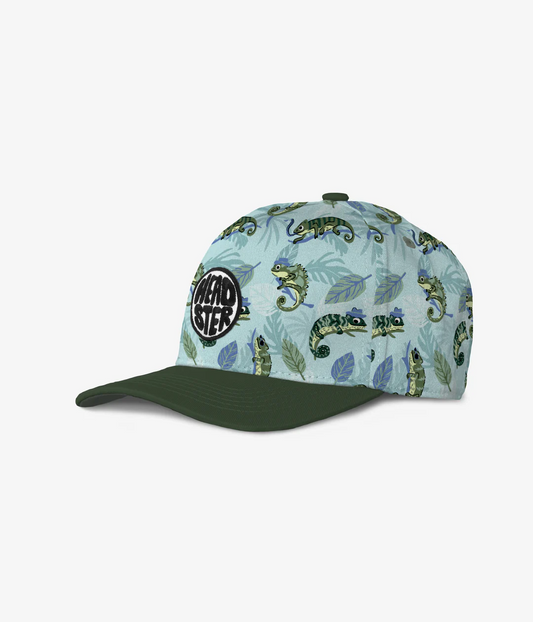 Mister Chameleon Curved Brim Snapback