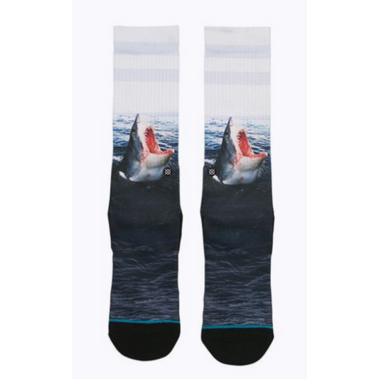 STP Landlord Sock