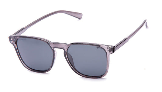 Windward (Polarized)