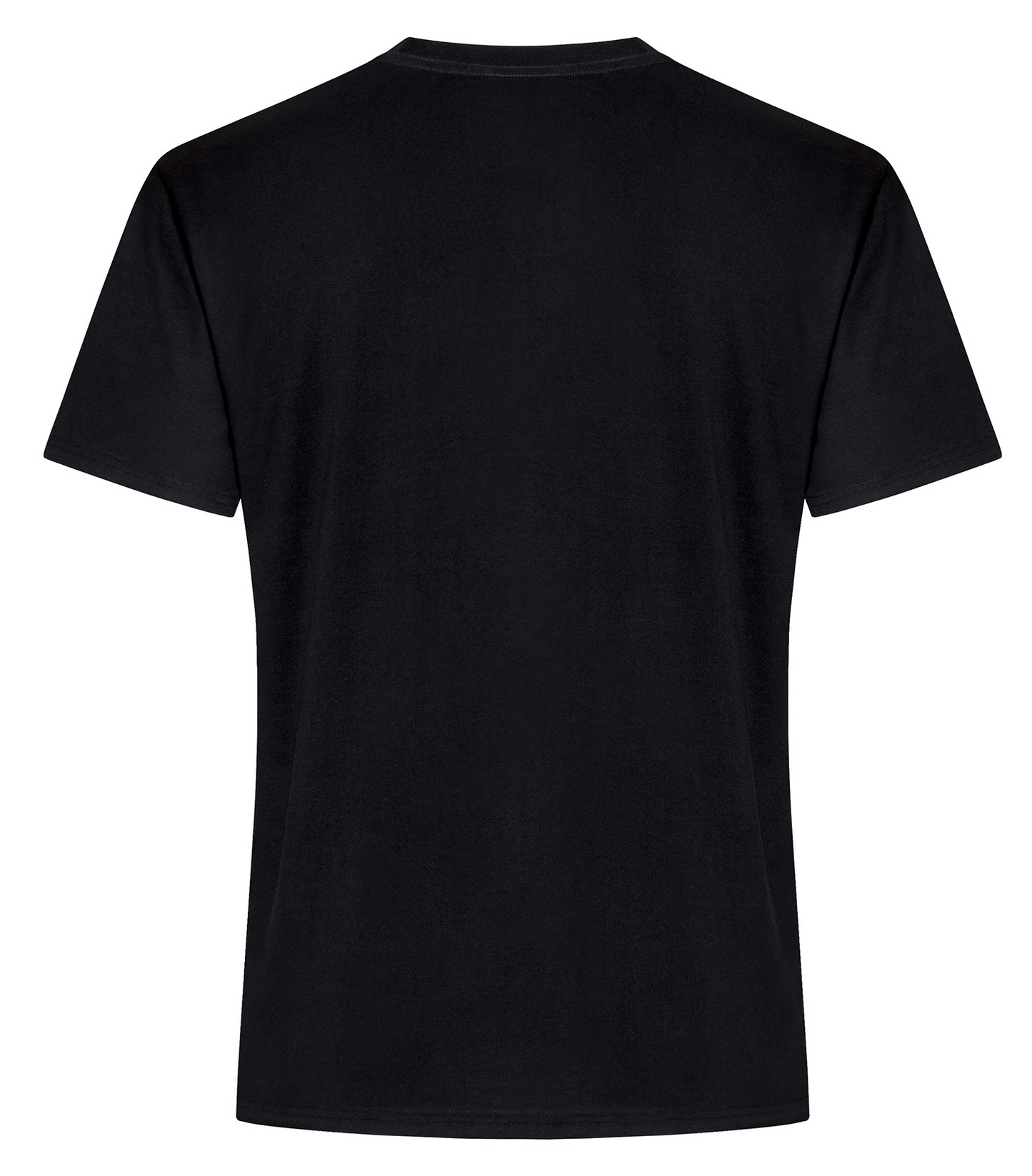 ATC Everyday Ring Spun Cotton Tee - ATC2000