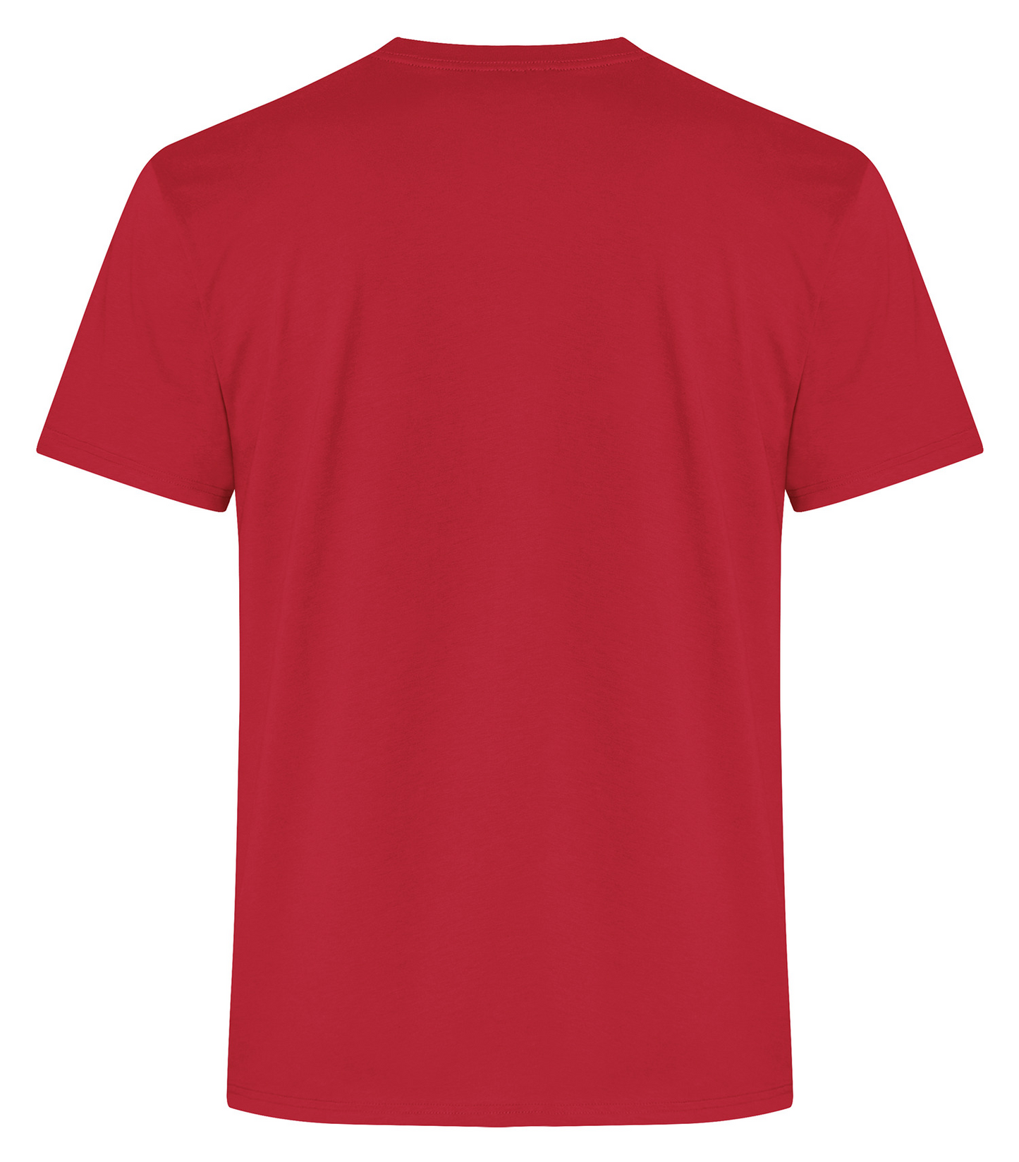 ATC Everyday Ring Spun Cotton Tee - ATC2000