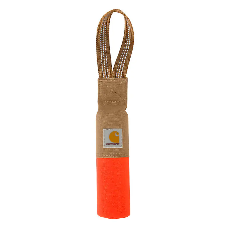 Training Dog Retrieving Bumper