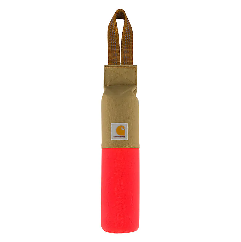 Training Dog Retrieving Bumper