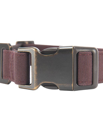 Nylon Duck Dog Collar