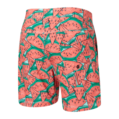 .Betawave 2N1 Boardie 17inch