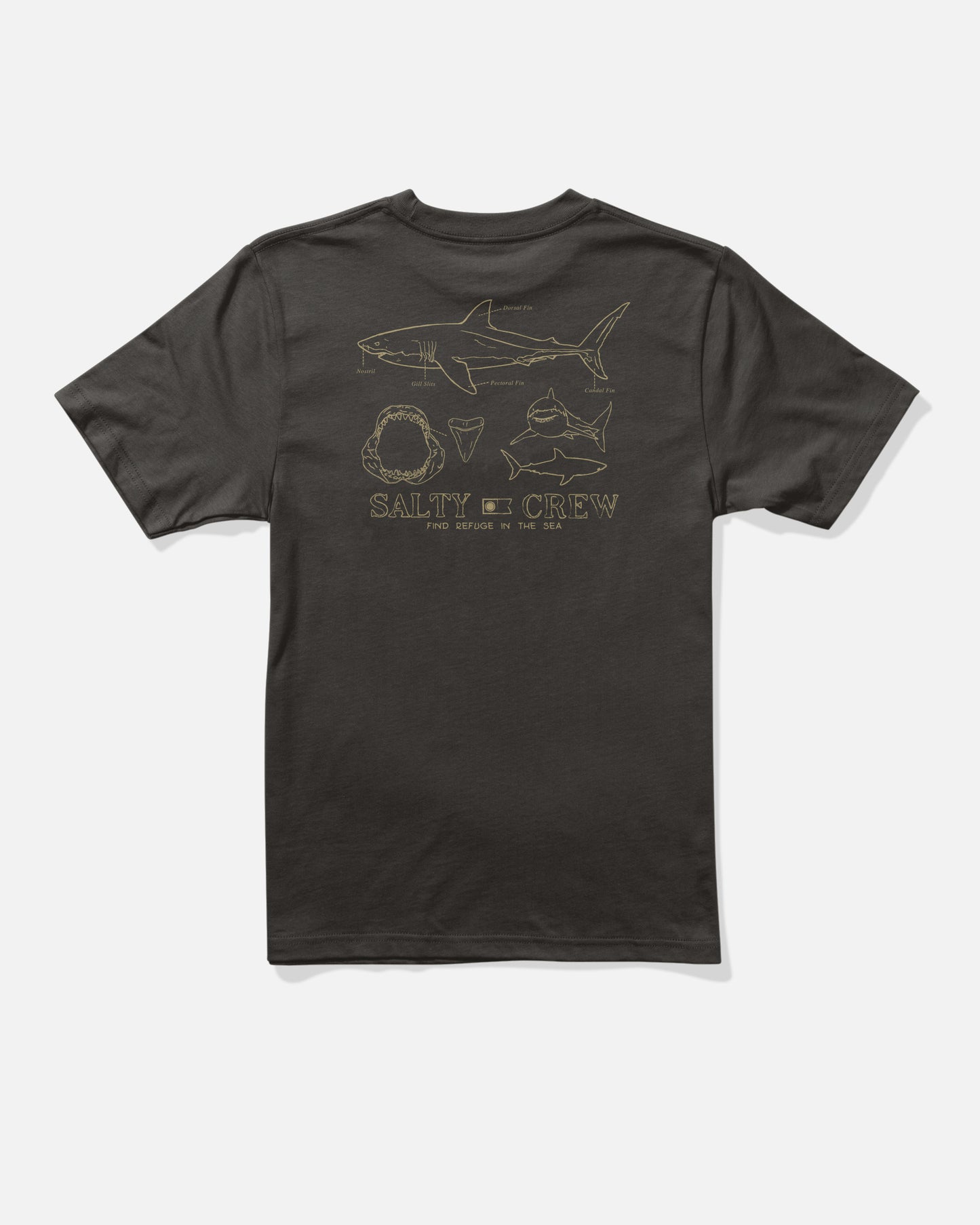 Great White Toddler SS Tee